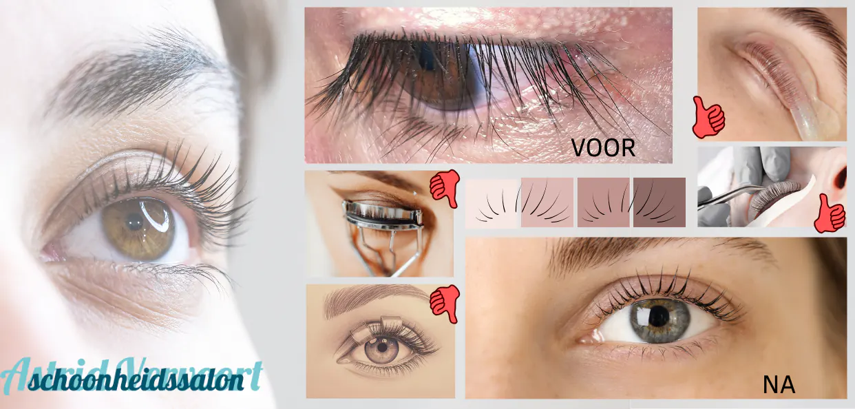 Lash Volume Lift: word wakker met volle gelifte wimpers | Schoonheidssalon Astrid Vervoort